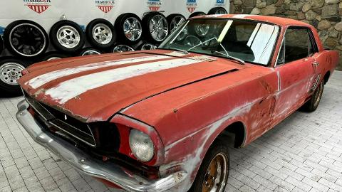 Ford Mustang I  (180KM) - 22 800  PLN, 1966 - Sulechów - wyprzedaż | Autoria.pl