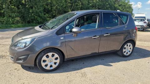 Opel Meriva II  (110KM) - 14 900  PLN, 2011 - PLESZEW - wyprzedaż | Autoria.pl