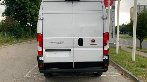 Fiat Ducato (140KM) -  113 900  PLN, 2023 - Lublin - wyprzedaż | Autoria.pl