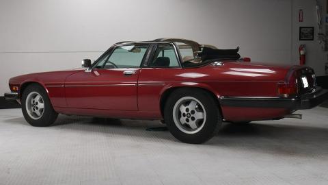 Jaguar XJ XJ40  (291KM) - 49 040  PLN, 1987 - Katowice - wyprzedaż | Autoria.pl