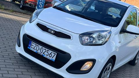 Kia Picanto II  (70KM) - 24 900  PLN, 2014 - Zduńska Wola - wyprzedaż | Autoria.pl