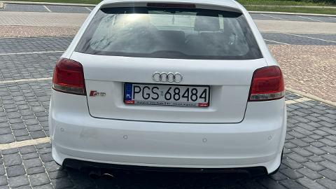 Audi S3 8P  (265KM) - 39 999  PLN, 2008 - Gostyń - wyprzedaż | Autoria.pl