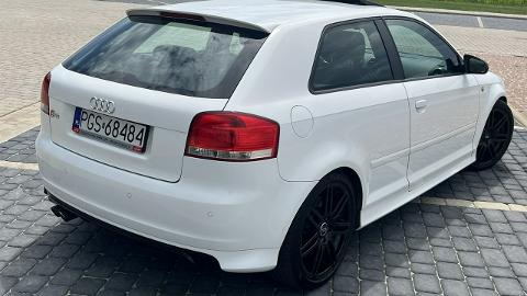 Audi S3 8P  (265KM) - 39 999  PLN, 2008 - Gostyń - wyprzedaż | Autoria.pl