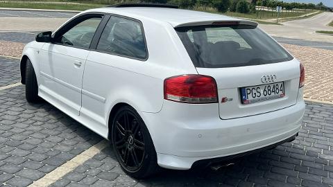 Audi S3 8P  (265KM) - 39 999  PLN, 2008 - Gostyń - wyprzedaż | Autoria.pl