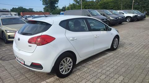 Kia Ceed II  (110KM) - 29 900  PLN, 2014 - Otwock - wyprzedaż | Autoria.pl