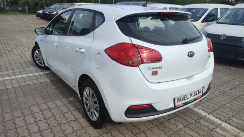 Kia Ceed II  (110KM) - 29 900  PLN, 2014 - Otwock - wyprzedaż | Autoria.pl