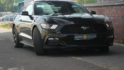 Ford Mustang VI  (305KM) - 95 990  PLN, 2017 - Mysłowice - wyprzedaż | Autoria.pl