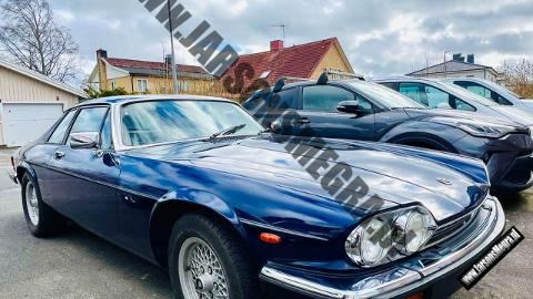 Jaguar XJS II  (295KM) - 42 700  PLN, 1985 - Kiczyce - wyprzedaż | Autoria.pl