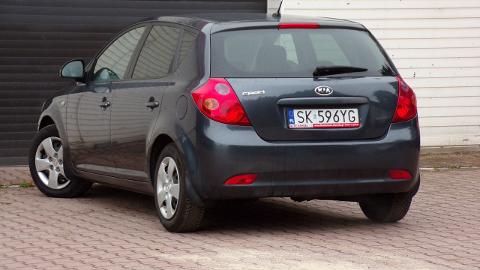 Kia Ceed I  (109KM) - 17 900  PLN, 2009 - MIKOŁÓW - wyprzedaż | Autoria.pl