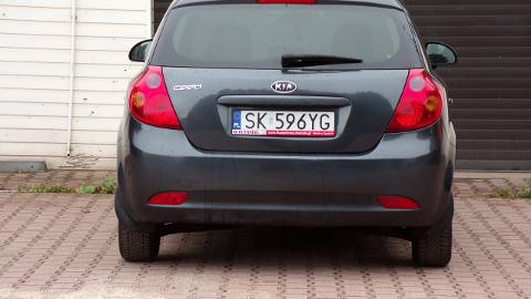 Kia Ceed I  (109KM) - 17 900  PLN, 2009 - MIKOŁÓW - wyprzedaż | Autoria.pl