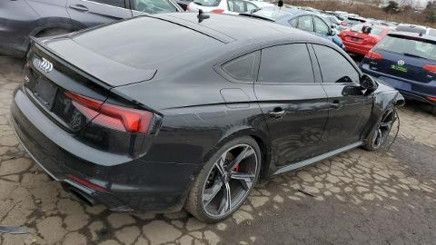 Audi RS5 I  (444KM) - 89 200  PLN, 2019 - Katowice - wyprzedaż | Autoria.pl
