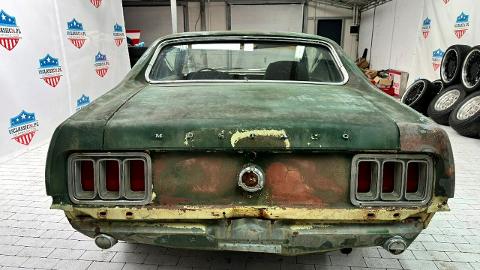 Ford Mustang I  (180KM) - 23 800  PLN, 1970 - Sulechów - wyprzedaż | Autoria.pl