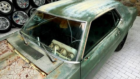 Ford Mustang I  (180KM) - 23 800  PLN, 1970 - Sulechów - wyprzedaż | Autoria.pl