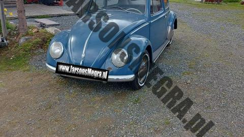Volkswagen Beetle (30KM) - 31 200  PLN, 1959 - Kiczyce - wyprzedaż | Autoria.pl