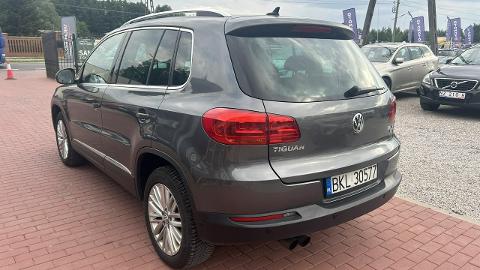 Volkswagen Tiguan I  (140KM) - 48 800  PLN, 2014 - SADE BUDY - wyprzedaż | Autoria.pl