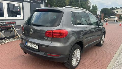 Volkswagen Tiguan I  (140KM) - 48 800  PLN, 2014 - SADE BUDY - wyprzedaż | Autoria.pl