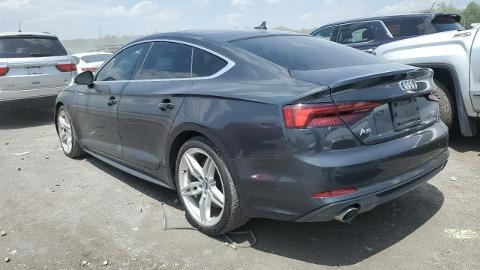 Audi A5 F5  (245KM) - 54 400  PLN, 2018 - Sękocin Nowy - wyprzedaż | Autoria.pl