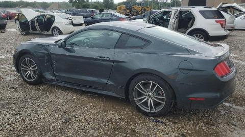 Ford Mustang VI  (300KM) - 39 100  PLN, 2015 - Sękocin Nowy - wyprzedaż | Autoria.pl