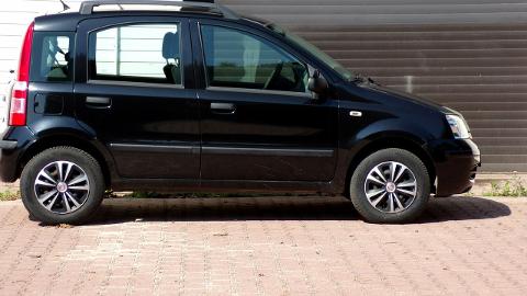 Fiat Panda II  (60KM) - 10 900  PLN, 2008 - MIKOŁÓW - wyprzedaż | Autoria.pl