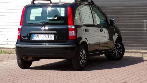 Fiat Panda II  (60KM) - 10 900  PLN, 2008 - MIKOŁÓW - wyprzedaż | Autoria.pl