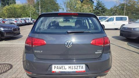 Volkswagen Golf VII  (90KM) - 39 900  PLN, 2014 - Otwock - wyprzedaż | Autoria.pl