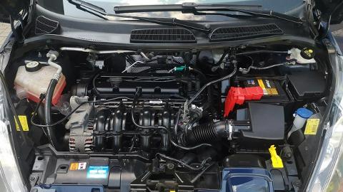 Ford Fiesta Mk7  (60KM) - 17 900  PLN, 2011 - Strzegom - wyprzedaż | Autoria.pl
