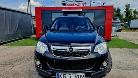 Opel Antara (184KM) - 34 900  PLN, 2013 - Kraków - wyprzedaż | Autoria.pl