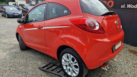 Ford KA II  (70KM) - 13 900  PLN, 2009 - Rybnik - wyprzedaż | Autoria.pl