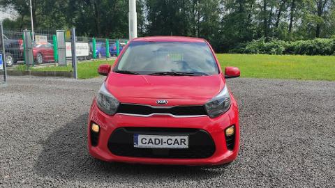 Kia Picanto (83KM) - 11 500  PLN, 2018 - Goczałkowice-Zdrój - wyprzedaż | Autoria.pl