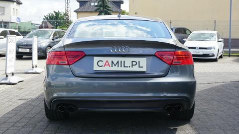 Audi S5 (333KM) -  115 000  PLN, 2016 - Opole - wyprzedaż | Autoria.pl