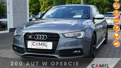 Audi S5 (333KM) -  115 000  PLN, 2016 - Opole - wyprzedaż | Autoria.pl