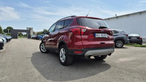 Ford Escape II  (180KM) - 75 900  PLN, 2019 - Giżycko - wyprzedaż | Autoria.pl