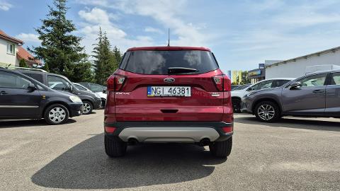 Ford Escape II  (180KM) - 75 900  PLN, 2019 - Giżycko - wyprzedaż | Autoria.pl