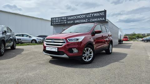 Ford Escape II  (180KM) - 75 900  PLN, 2019 - Giżycko - wyprzedaż | Autoria.pl