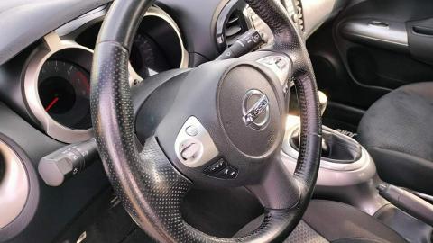 Nissan Juke I  (190KM) - 29 900  PLN, 2010 - Dolna Grupa - wyprzedaż | Autoria.pl