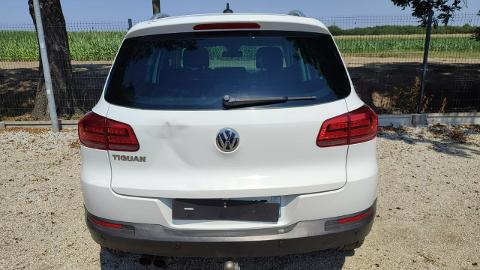 Volkswagen Tiguan I  (140KM) - 36 900  PLN, 2014 - PLESZEW - wyprzedaż | Autoria.pl