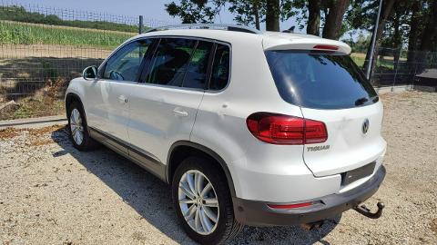 Volkswagen Tiguan I  (140KM) - 36 900  PLN, 2014 - PLESZEW - wyprzedaż | Autoria.pl