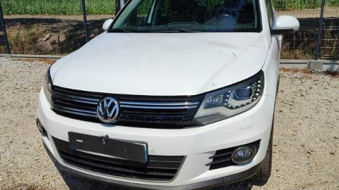 Volkswagen Tiguan I  (140KM) - 36 900  PLN, 2014 - PLESZEW - wyprzedaż | Autoria.pl