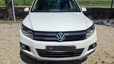 Volkswagen Tiguan I  (140KM) - 36 900  PLN, 2014 - PLESZEW - wyprzedaż | Autoria.pl