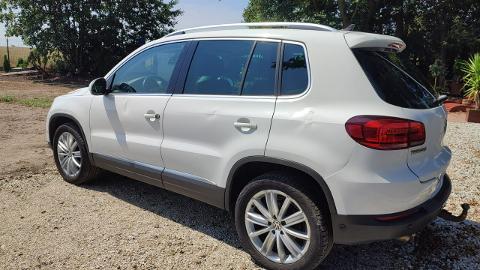 Volkswagen Tiguan I  (140KM) - 36 900  PLN, 2014 - PLESZEW - wyprzedaż | Autoria.pl