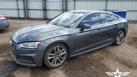 Audi A5 F5  (245KM) - 59 300  PLN, 2019 - Sękocin Nowy - wyprzedaż | Autoria.pl