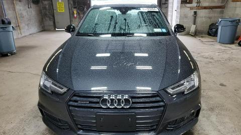 Audi A4 B9  (252KM) - 55 700  PLN, 2018 - Sękocin Nowy - wyprzedaż | Autoria.pl