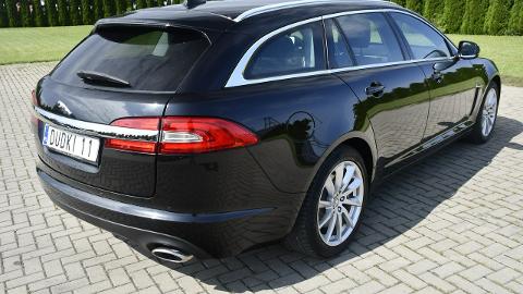 Jaguar XF X250  (163KM) - 38 900  PLN, 2013 - Kutno - wyprzedaż | Autoria.pl