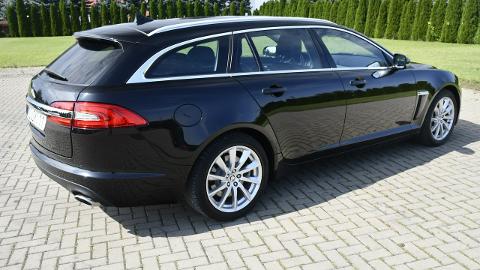 Jaguar XF X250  (163KM) - 38 900  PLN, 2013 - Kutno - wyprzedaż | Autoria.pl