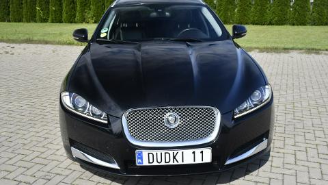 Jaguar XF X250  (163KM) - 38 900  PLN, 2013 - Kutno - wyprzedaż | Autoria.pl