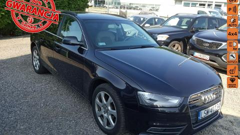 Audi A4 B8  (176KM) - 42 900  PLN, 2013 - Lublin - wyprzedaż | Autoria.pl