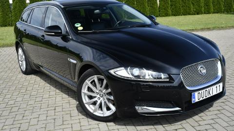 Jaguar XF X250  (163KM) - 38 900  PLN, 2013 - Kutno - wyprzedaż | Autoria.pl