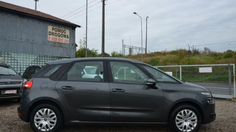 Citroën C4 Picasso II  (120KM) - 35 500  PLN, 2013 - Stargard - wyprzedaż | Autoria.pl