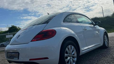 Volkswagen Beetle (105KM) - 33 900  PLN, 2012 - Stargard - wyprzedaż | Autoria.pl