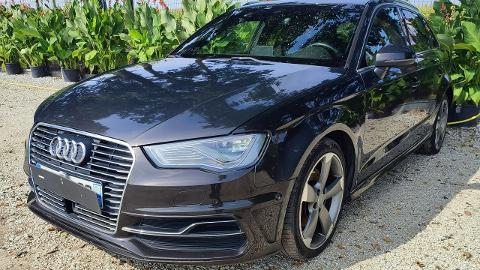 Audi A3 8V  (24KM) - 37 900  PLN, 2016 - PLESZEW - wyprzedaż | Autoria.pl